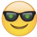 Story Post On 7 Cannabis Accounts With 1 Million+ Combined Followers